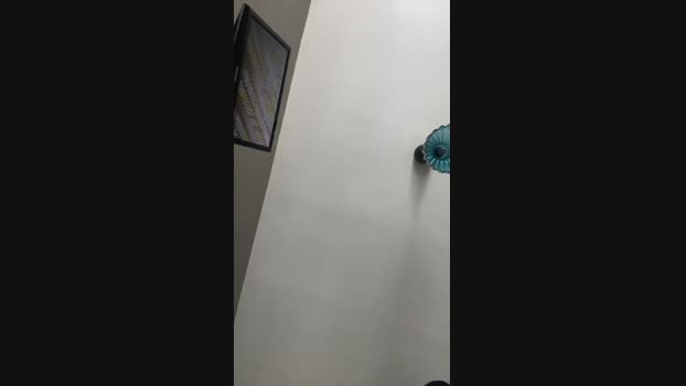 Pollon29_cm Cam4 30-07-2024 Males