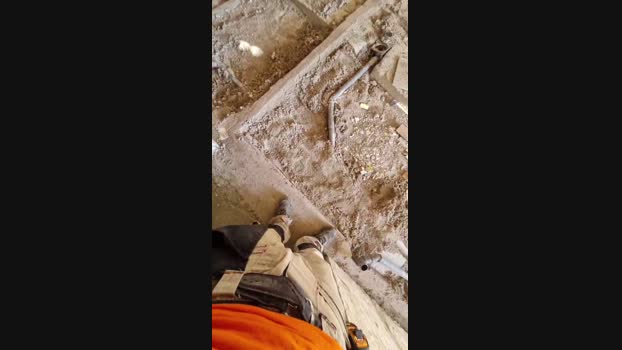 Polpex Cam4 30-07-2024 Males