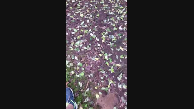 Outdoorgeil1 Cam4 01-08-2024 Males