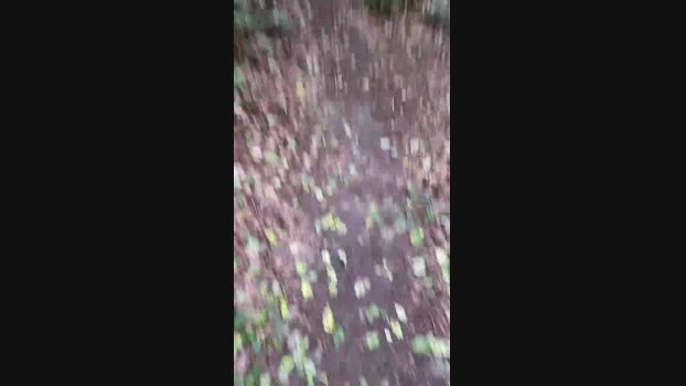 Outdoorgeil1 Cam4 01-08-2024 Males