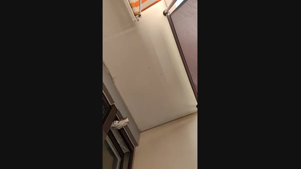 Vanillasky420 Cam4 02-08-2024 Males