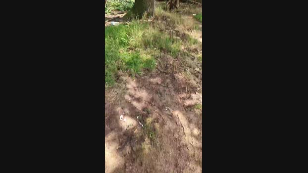 Outdoorgeil1 Cam4 03-08-2024 Males