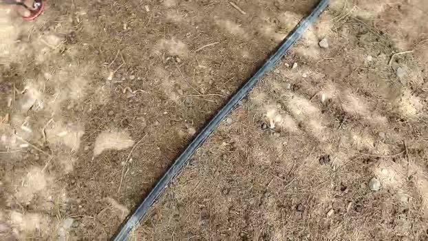Pabloysebas Cam4 04-08-2024 Males