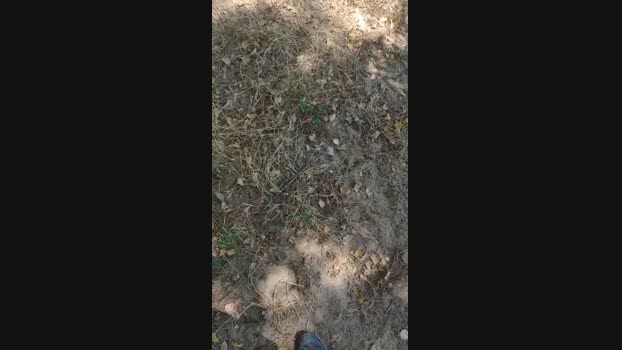 polli_play Cam4 04-08-2024 Males