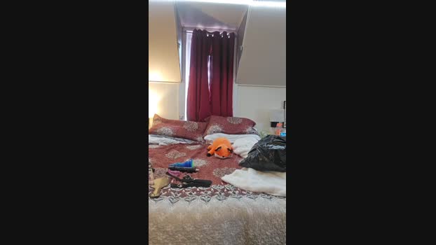 4_Fox_sakes Cam4 05-08-2024 Males