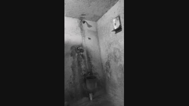 Jabo24 Cam4 06-08-2024 Males