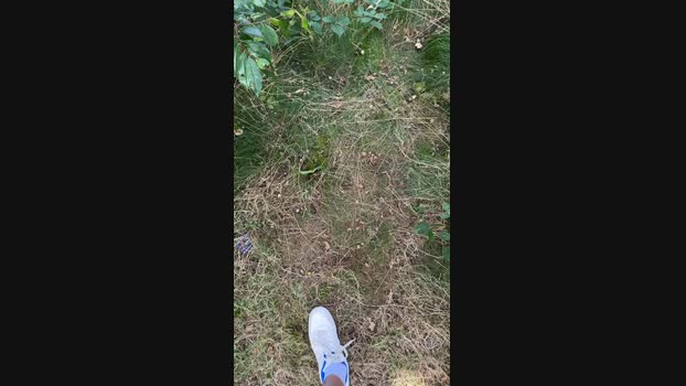 bjornborg Cam4 06-08-2024 Males