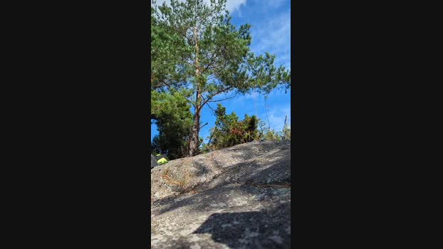 fuje Cam4 06-08-2024 Males