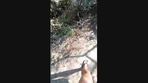 Horny_cruising Cam4 06-08-2024 Males