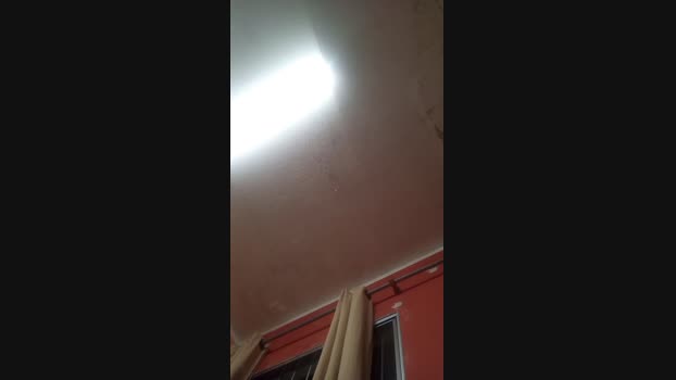 brazilnovo Cam4 07-08-2024 Males