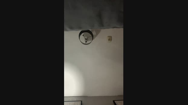 rogerrabbit199 Cam4 07-08-2024 Males