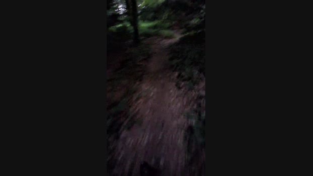 taxidancer1 Cam4 06-08-2024 Males