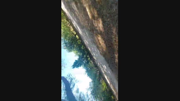 Horny_cruising Cam4 07-08-2024 Males