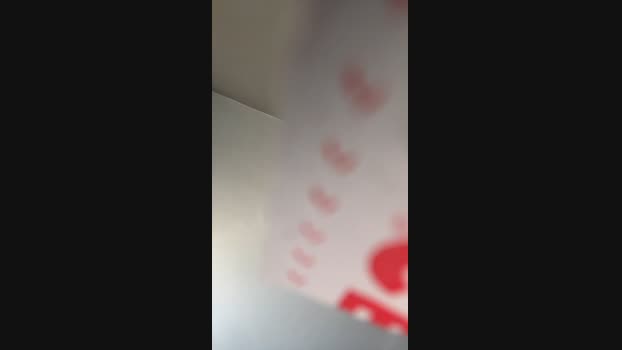 Pollon29_cm Cam4 08-08-2024 Males