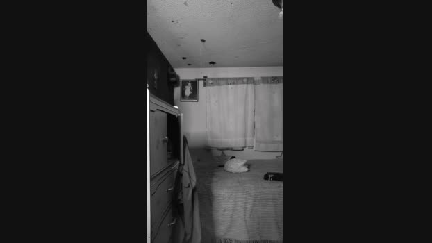 Jabo24 Cam4 09-08-2024 Males