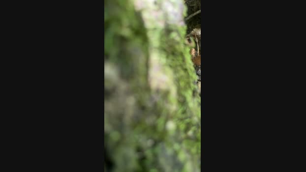SchiavoBSXxxx Cam4 09-08-2024 Males
