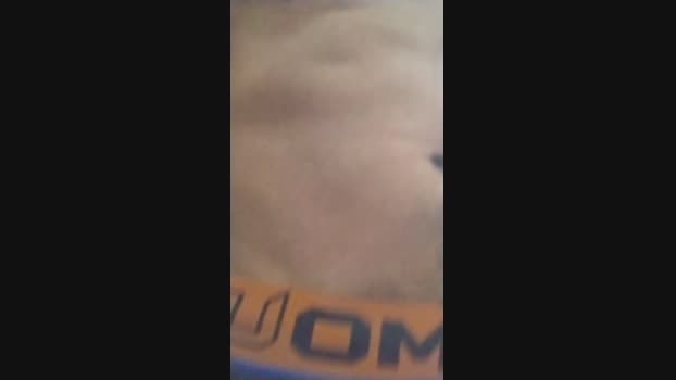 leonardh Cam4 09-08-2024 Males