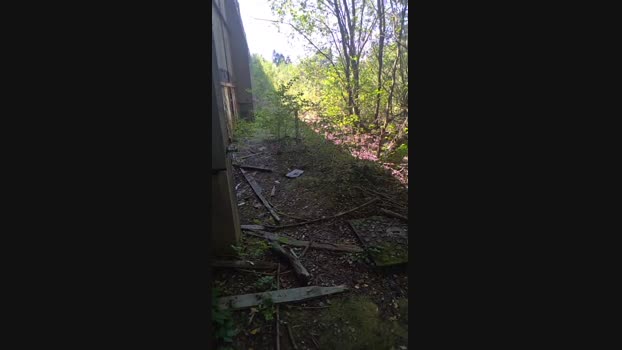 publicexib1 Cam4 12-08-2024 Males