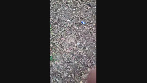 Outdoorgeil1 Cam4 12-08-2024 Males