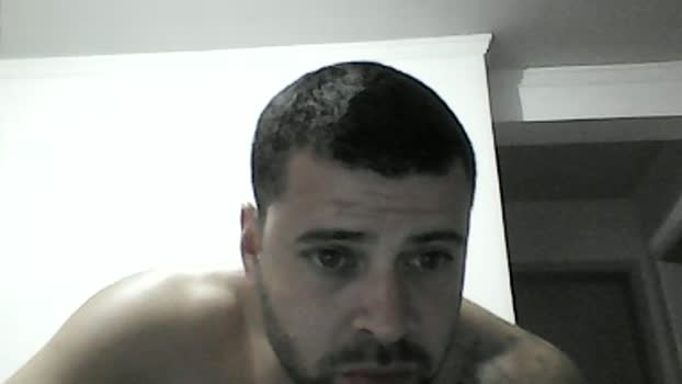 Pedrobarboza01 Cam4 13-08-2024 Males
