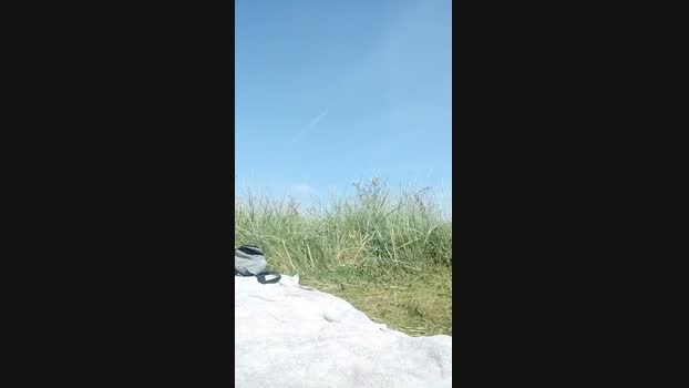 pegg_cunilingus Cam4 13-08-2024 Males