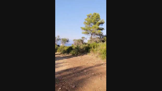 JoMenz Cam4 14-08-2024 Males