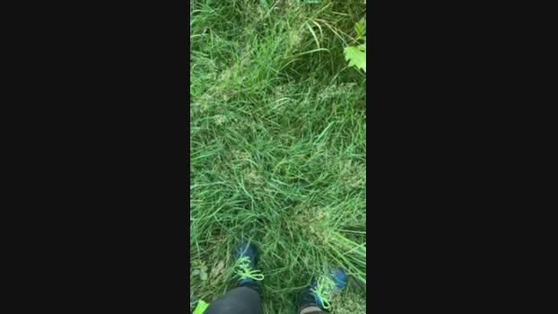 hase0912 Cam4 15-08-2024 Males