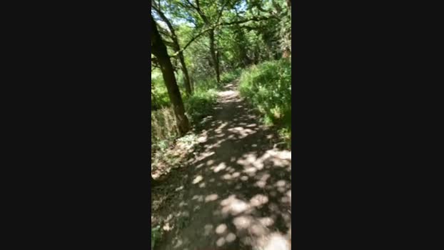 Outandabout85 Cam4 16-08-2024 Males