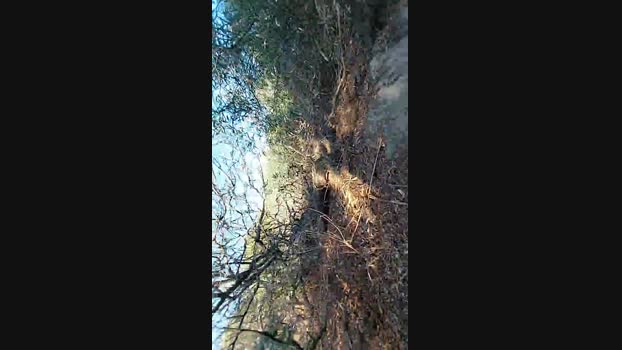 Horny_cruising Cam4 16-08-2024 Males
