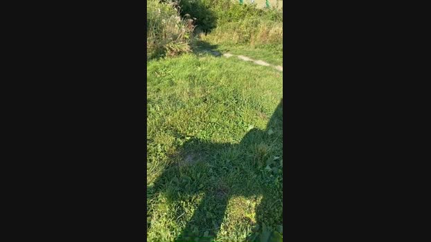 Outandabout85 Cam4 16-08-2024 Males