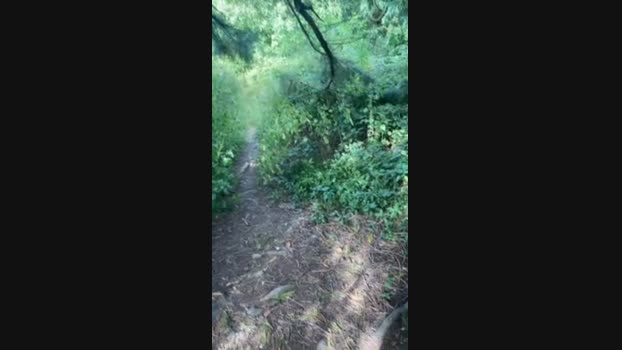 Outandabout85 Cam4 20-08-2024 Males