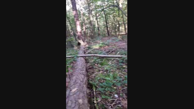 Outdoorgeil1 Cam4 25-08-2024 Males