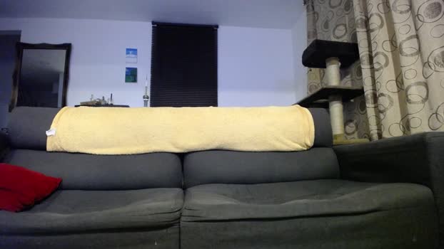 fallgays Cam4 27-08-2024 Males