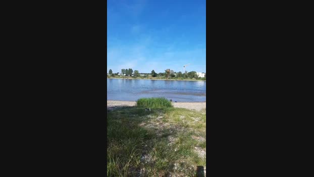triporxs Cam4 27-08-2024 Males