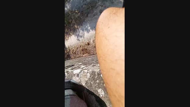 Horny_cruising Cam4 27-08-2024 Males