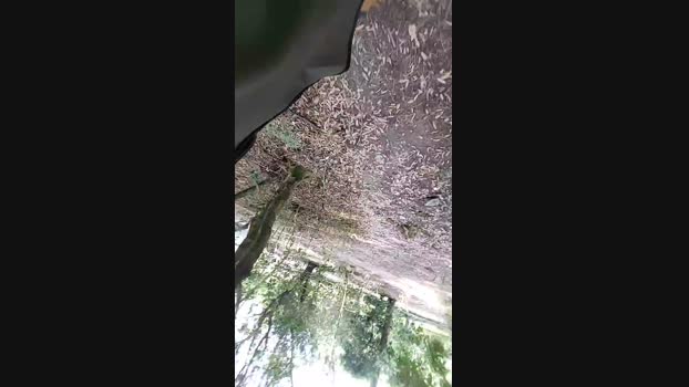 Horny_cruising Cam4 28-08-2024 Males