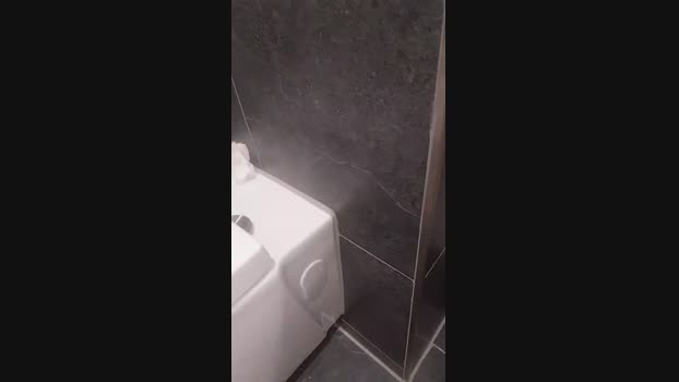Koppeltje84 Cam4 29-08-2024 Males