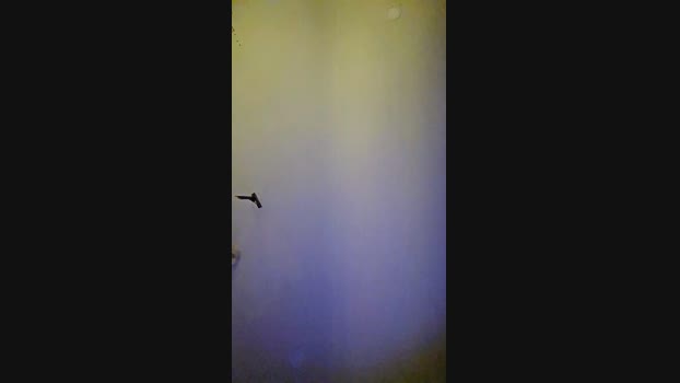 Xxxcamxxx69 Cam4 29-08-2024 Males