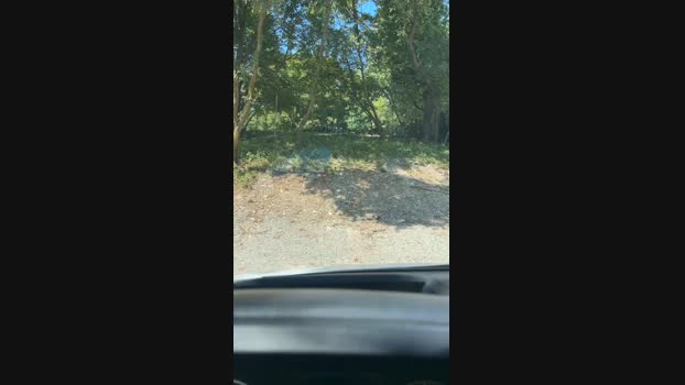Edward_venezia Cam4 30-08-2024 Males