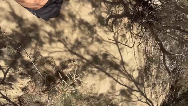 Pabloysebas Cam4 29-08-2024 Males