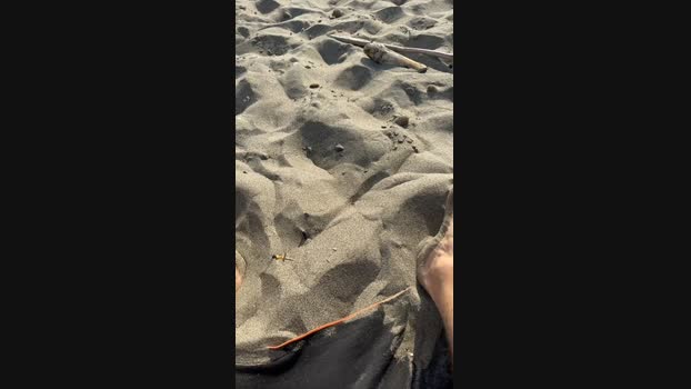 danicloud1 Cam4 01-09-2024 Males