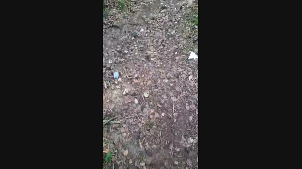 Outdoorgeil1 Cam4 01-09-2024 Males