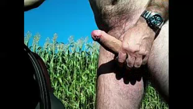 081547111 Cam4 03-09-2024 Males