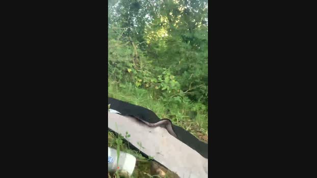 Joueurh Cam4 02-09-2024 Males