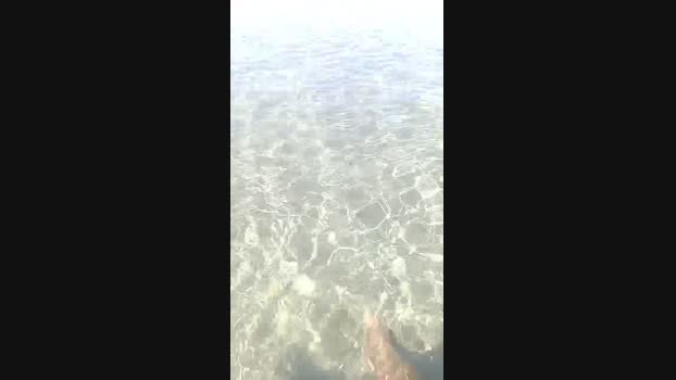 CIOLADURA80 Cam4 04-09-2024 Males