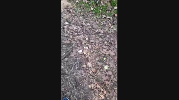 Outdoorgeil1 Cam4 03-09-2024 Males