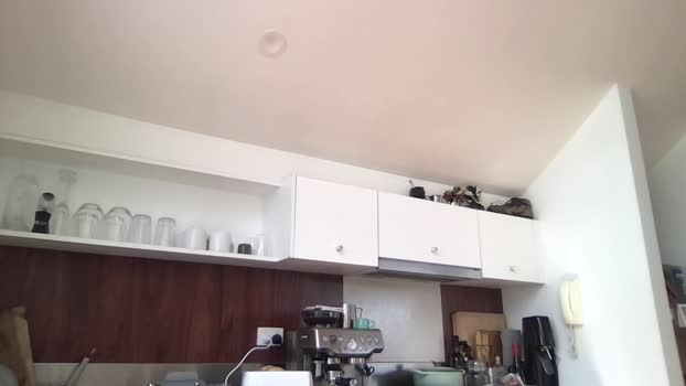 mansaf686 Cam4 04-09-2024 Males