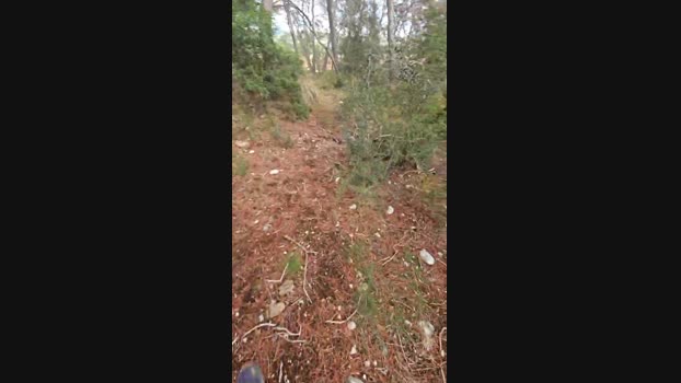 pitu68 Cam4 04-09-2024 Males