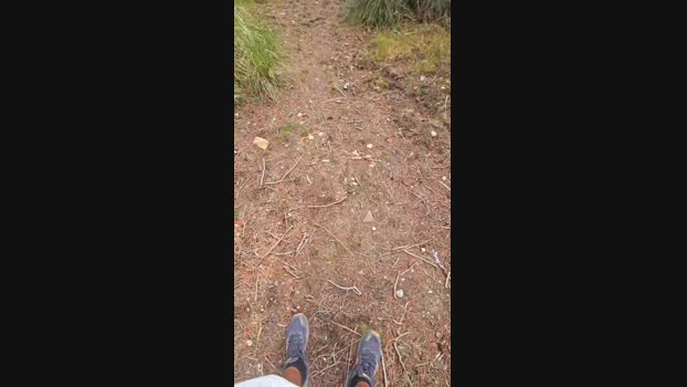 pitu68 Cam4 04-09-2024 Males