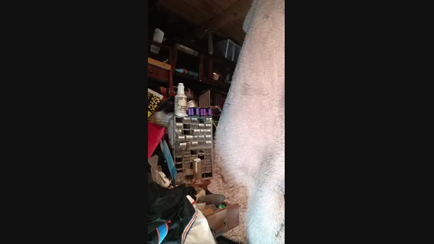 thompson3 Cam4 05-09-2024 Males